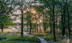 Auf der Lüneburger Heide - Geocaching Wanderung durchs Naturschutzgebiet während der Heideblüte Auf der Lüneburger Heide - Geocaching Wanderung durchs Naturschutzgebiet während der Heideblüte