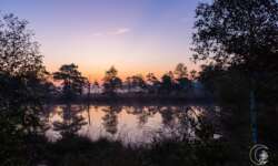 Sonnenaufgang im Pietzmoor bei Schneverdingen in der Lüneburger Heide Sonnenaufgang im Pietzmoor bei Schneverdingen in der Lüneburger Heide