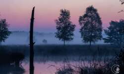 Sonnenaufgang im Pietzmoor bei Schneverdingen in der Lüneburger Heide Sonnenaufgang im Pietzmoor bei Schneverdingen in der Lüneburger Heide