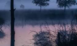 Sonnenaufgang im Pietzmoor bei Schneverdingen in der Lüneburger Heide Sonnenaufgang im Pietzmoor bei Schneverdingen in der Lüneburger Heide