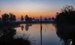 Sonnenaufgang im Pietzmoor bei Schneverdingen in der Lüneburger Heide Sonnenaufgang im Pietzmoor bei Schneverdingen in der Lüneburger Heide