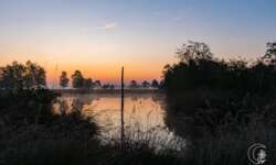 Sonnenaufgang im Pietzmoor bei Schneverdingen in der Lüneburger Heide Sonnenaufgang im Pietzmoor bei Schneverdingen in der Lüneburger Heide