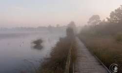 Pietzmoor bei Schneverdingen in der Lüneburger Heide Pietzmoor bei Schneverdingen in der Lüneburger Heide