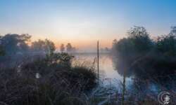 Sonnenaufgang im Pietzmoor bei Schneverdingen in der Lüneburger Heide Sonnenaufgang im Pietzmoor bei Schneverdingen in der Lüneburger Heide