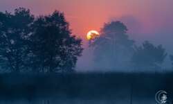 Sonnenaufgang im Pietzmoor bei Schneverdingen in der Lüneburger Heide Sonnenaufgang im Pietzmoor bei Schneverdingen in der Lüneburger Heide