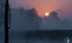 Sonnenaufgang im Pietzmoor bei Schneverdingen in der Lüneburger Heide Sonnenaufgang im Pietzmoor bei Schneverdingen in der Lüneburger Heide