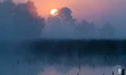 Sonnenaufgang im Pietzmoor bei Schneverdingen in der Lüneburger Heide Sonnenaufgang im Pietzmoor bei Schneverdingen in der Lüneburger Heide