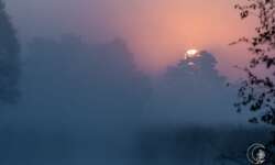 Sonnenaufgang im Pietzmoor bei Schneverdingen in der Lüneburger Heide Sonnenaufgang im Pietzmoor bei Schneverdingen in der Lüneburger Heide
