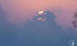 Sonnenaufgang im Pietzmoor bei Schneverdingen in der Lüneburger Heide Sonnenaufgang im Pietzmoor bei Schneverdingen in der Lüneburger Heide