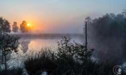 Sonnenaufgang im Pietzmoor bei Schneverdingen in der Lüneburger Heide Sonnenaufgang im Pietzmoor bei Schneverdingen in der Lüneburger Heide