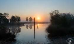 Sonnenaufgang im Pietzmoor bei Schneverdingen in der Lüneburger Heide Sonnenaufgang im Pietzmoor bei Schneverdingen in der Lüneburger Heide