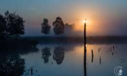Sonnenaufgang im Pietzmoor bei Schneverdingen in der Lüneburger Heide Sonnenaufgang im Pietzmoor bei Schneverdingen in der Lüneburger Heide