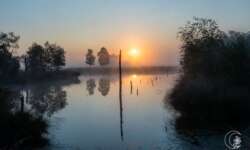 Sonnenaufgang im Pietzmoor bei Schneverdingen in der Lüneburger Heide Sonnenaufgang im Pietzmoor bei Schneverdingen in der Lüneburger Heide