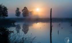 Spaziergang bei Schneverdingen in der Lüneburger Heide Spaziergang bei Schneverdingen in der Lüneburger Heide