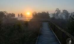 Spaziergang bei Schneverdingen in der Lüneburger Heide Spaziergang bei Schneverdingen in der Lüneburger Heide