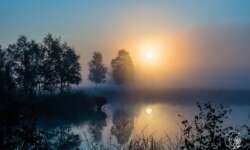 Spaziergang bei Schneverdingen in der Lüneburger Heide Spaziergang bei Schneverdingen in der Lüneburger Heide