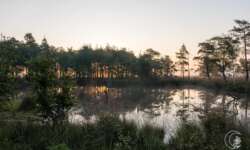 Sonnenaufgang bei Schneverdingen in der Lüneburger Heide Sonnenaufgang bei Schneverdingen in der Lüneburger Heide