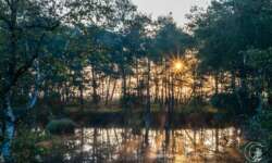 Sonnenaufgang bei Schneverdingen in der Lüneburger Heide Sonnenaufgang bei Schneverdingen in der Lüneburger Heide