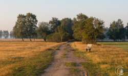 Sonnenaufgang bei Schneverdingen in der Lüneburger Heide Sonnenaufgang bei Schneverdingen in der Lüneburger Heide