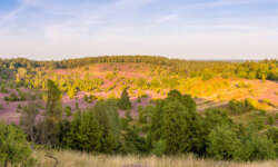 Wanderung zum Totengrund im Naturschutzgebiet Lüneburger Heide Wanderung zum Totengrund im Naturschutzgebiet Lüneburger Heide