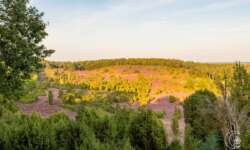 Wanderung zum Totengrund im Naturschutzgebiet Lüneburger Heide Wanderung zum Totengrund im Naturschutzgebiet Lüneburger Heide