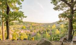 Wanderung zum Totengrund im Naturschutzgebiet Lüneburger Heide Wanderung zum Totengrund im Naturschutzgebiet Lüneburger Heide