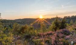 Sonnenuntergang am Totengrund im Naturschutzgebiet Lüneburger Heide Sonnenuntergang am Totengrund im Naturschutzgebiet Lüneburger Heide
