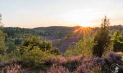 Sonnenuntergang am Totengrund im Naturschutzgebiet Lüneburger Heide Sonnenuntergang am Totengrund im Naturschutzgebiet Lüneburger Heide
