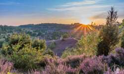 Sonnenuntergang am Totengrund im Naturschutzgebiet Lüneburger Heide Sonnenuntergang am Totengrund im Naturschutzgebiet Lüneburger Heide