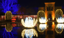 Christmas Garden Stuttgart Wilhelma Christmas Garden Stuttgart Wilhelma