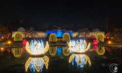 Der Seerosenteich Der Seerosenteich