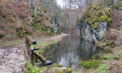 Brücke im Glastal Brücke im Glastal