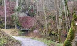 Der idyllischste Teil des Glastal Der idyllischste Teil des Glastals