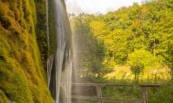 Ganz besondere Natur Ganz besondere Natur