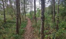 Traumhafte Wege Traumhafte Wege