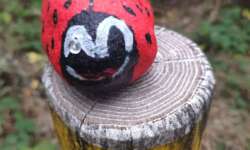 So macht Geocaching Spaß So macht Geocaching Spaß