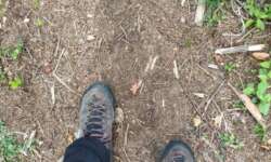 Federnder Untergrund Federnder Untergrund