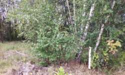 Finde den Cache Finde den Cache