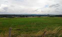 Tolle Blicke Tolle Blicke