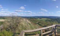 Panorama vom Rother Kopf Panorama vom Rother Kopf