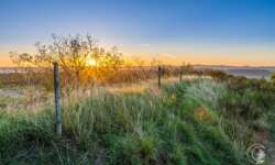 Sonnenaufgang am Rother Kopf Sonnenaufgang am Rother Kopf