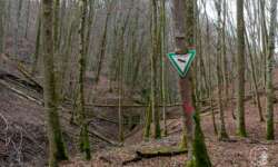 Das ganze Tal unter Naturschutz Das ganze Tal unter Naturschutz