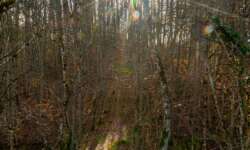 Tollstes Februarwetter Tollstes Februarwetter