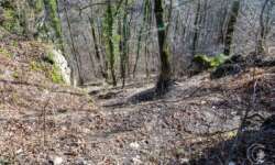 Der Abstieg von der Ruine Hofen Der Abstieg von der Ruine Hofen