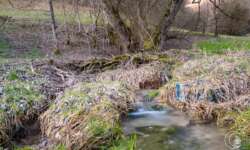 Kleine Quelle am Fuß der Schwäbischen Alb Kleine Quelle am Fuß der Schwäbischen Alb