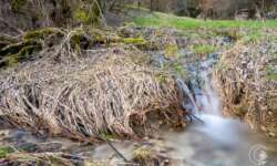 Kleine Quelle am Fuß der Schwäbischen Alb Kleine Quelle am Fuß der Schwäbischen Alb