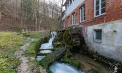 Ehemalige Mühle an der Quelle der schwarzen Lauter Ehemalige Mühle an der Quelle der schwarzen Lauter