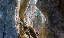 Durch diese hohle Gasse musst du wandern Durch diese hohle Gasse musst du wandern