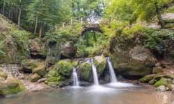 Und noch mal Schiessentümpel Und noch mal Schiessentümpel