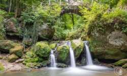 Schiessentümpel Schiessentümpel